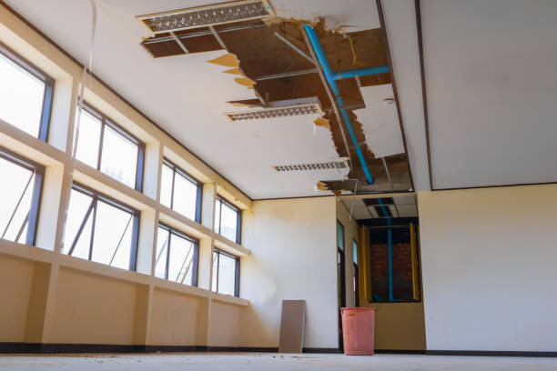 Best Local water damage restoration  in Marianna, FL