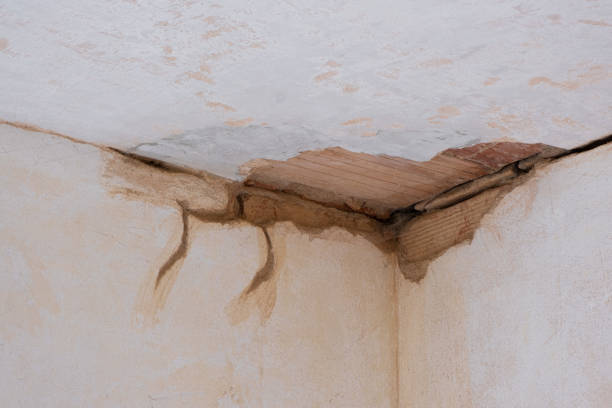 Best Water damage restoration near me  in Marianna, FL