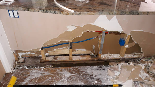 Best Mold removal after water damage  in Marianna, FL