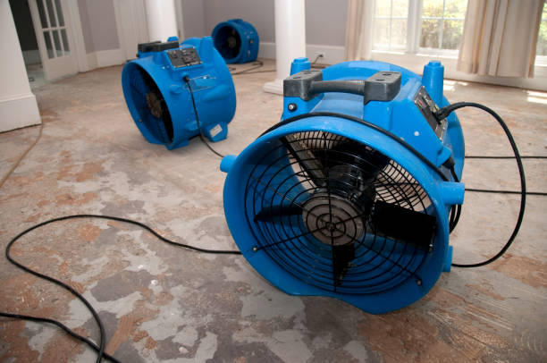 Best Sewage cleanup and water damage restoration  in Marianna, FL