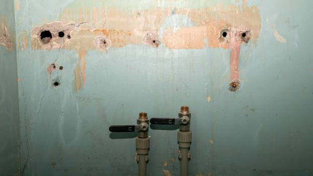 Best Fire Damage Restoration  in Marianna, FL