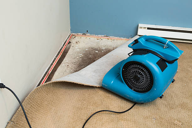 Fire Damage Restoration in FL
